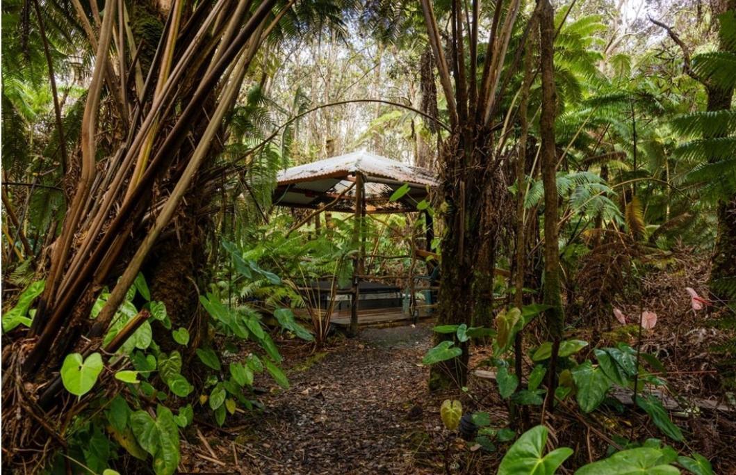 Halema'Uma'U- Hale Kumu La'Au Vila Volcano Exterior foto